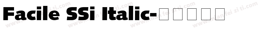 Facile SSi Italic字体转换
